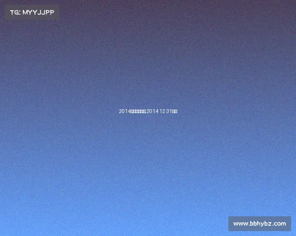 2014上海重大赛事;2014 12 31上海